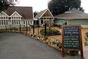 Ventnor Botanic Gardens