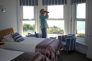 windsor3