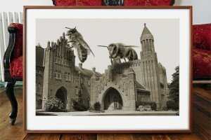 Bees on Quarr Abbey