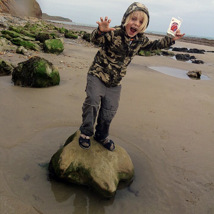 Dinosaur footprints on the Isle of Wight