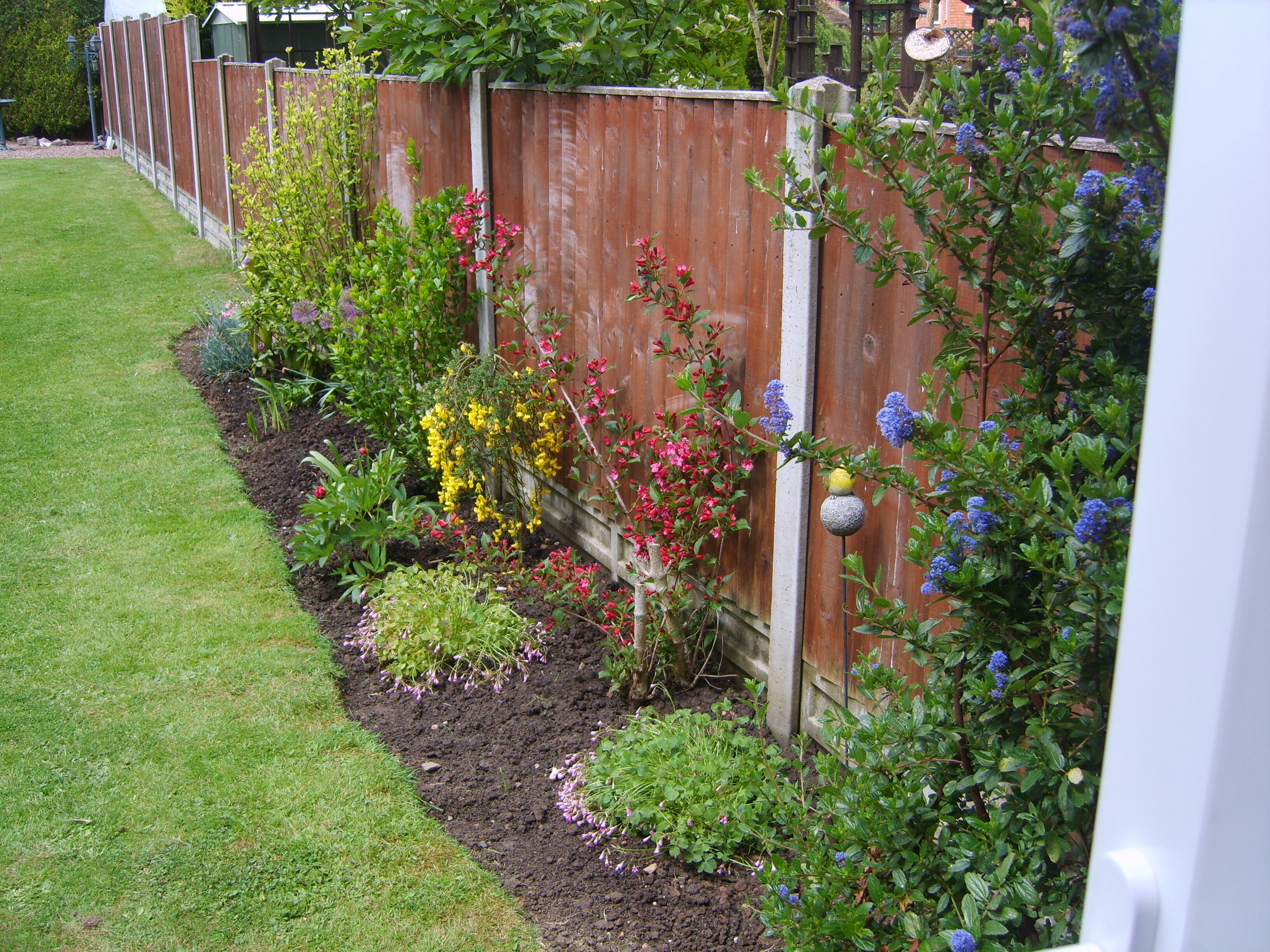 isle of wight web design